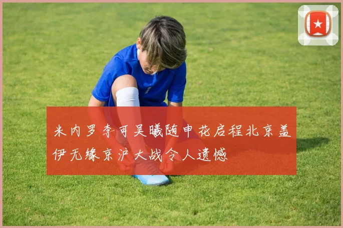 米内罗李可吴曦随申花启程北京盖伊无缘京沪大战令人遗憾
